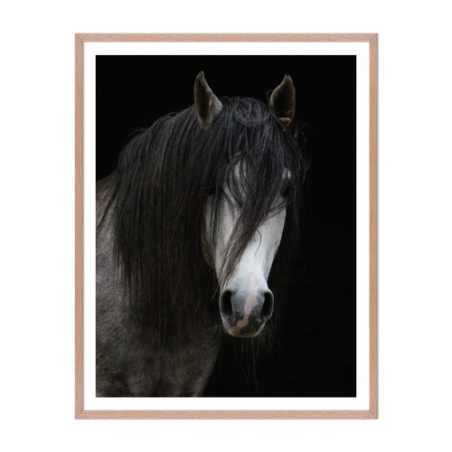 Horse Framed Wall Art