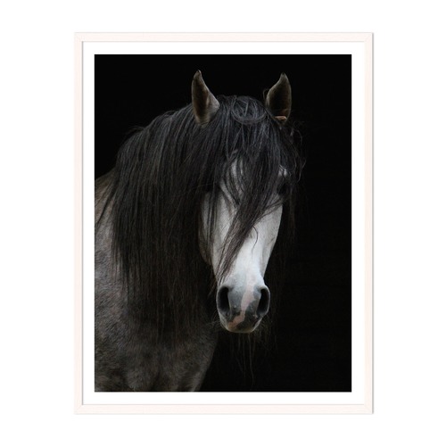 Horse Framed Wall Art
