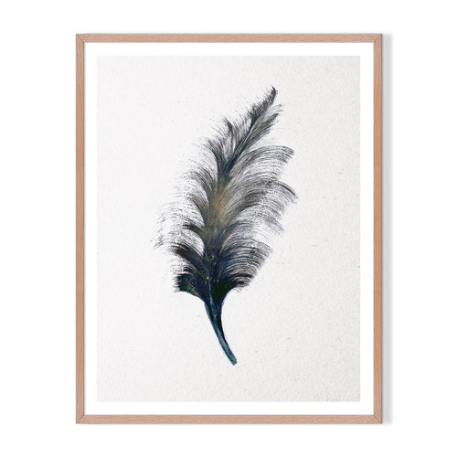 Artefocus Feather Framed Printed Wall Art Temple & ster