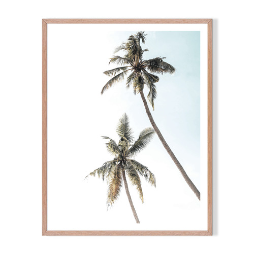 Artefocus 2 Palms Framed Printed Wall Art | Temple & Webster