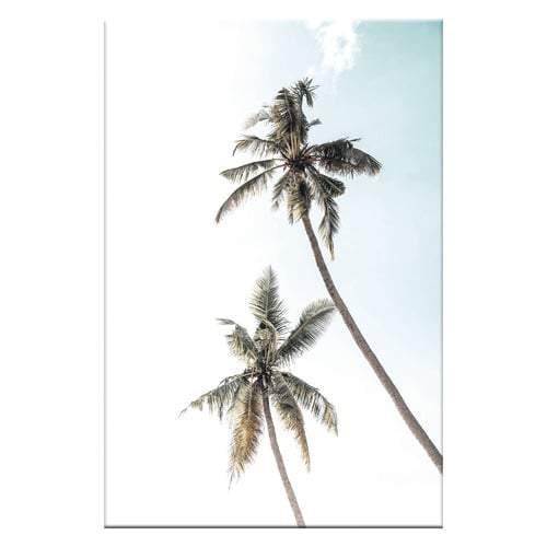 2 Palms Stretched Canvas Wall Art