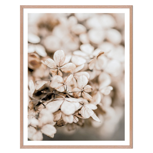 3 Piece Delicate Petals Gallery Wall Art Set