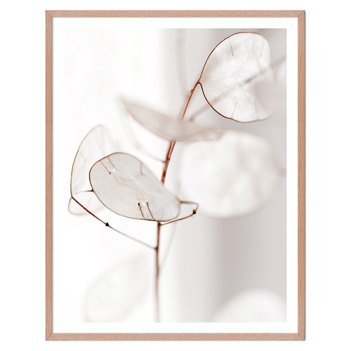 3 Piece Delicate Petals Gallery Wall Art Set