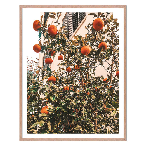 4 Piece Vintage Italia Gallery Wall Art Set