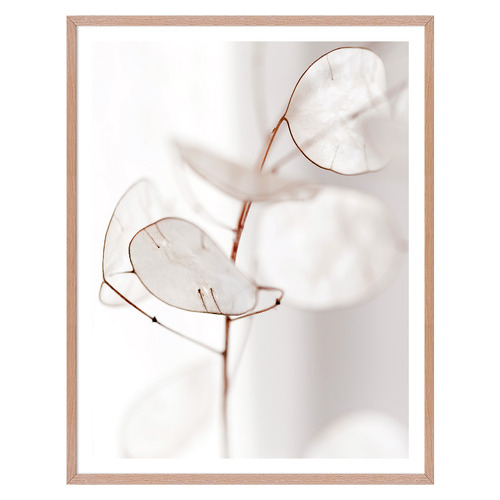 5 Piece Sultry Elements Gallery Wall Art Set