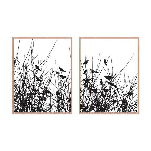 Sparrow Framed Printed Wall Art Diptych