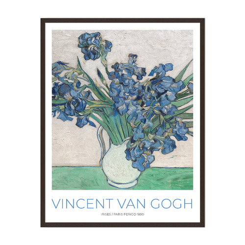 Vincent Van Gogh Irises Printed Wall Art