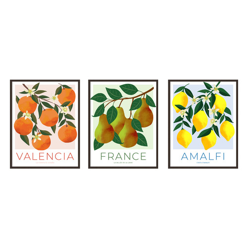 Fruit Posters Printed Wall Art Triptych