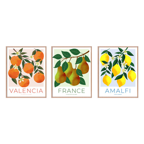 Fruit Posters Printed Wall Art Triptych