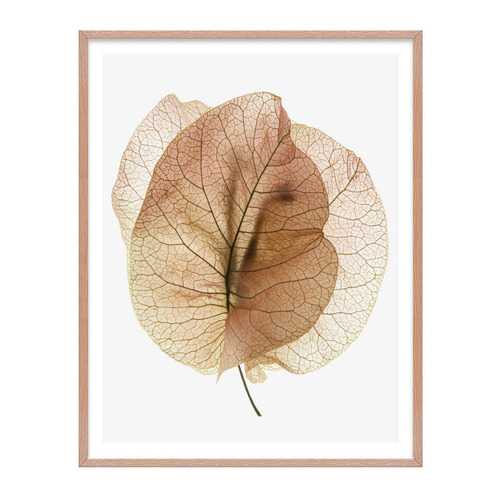 3 Piece Whispering Petals Wall Art Set