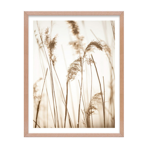 4 Piece Seaside Solace Wall Art Set