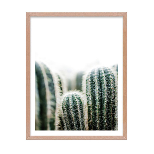 3 Piece Canyon Drive Wall Art Set