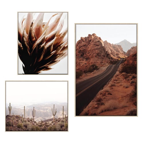 3 Piece Arid Majesty Canvas Wall Art Set