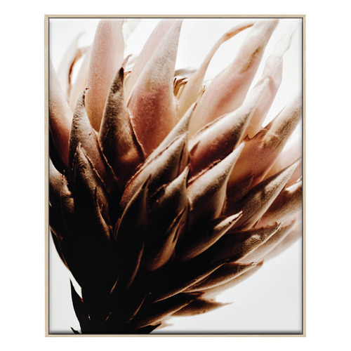 3 Piece Arid Majesty Canvas Wall Art Set