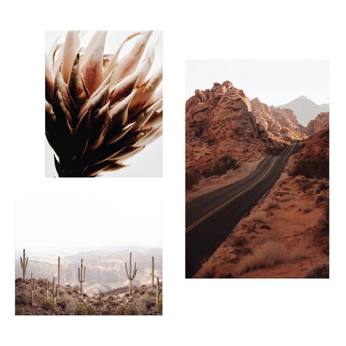 3 Piece Arid Majesty Canvas Wall Art Set
