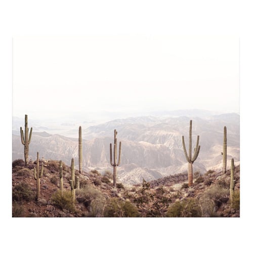 3 Piece Arid Majesty Canvas Wall Art Set
