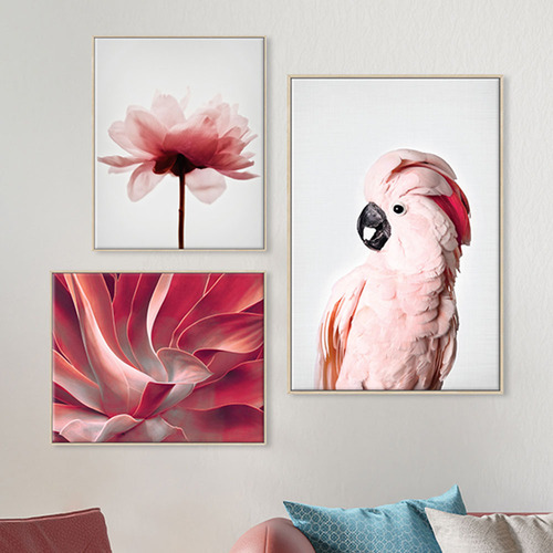 3 Piece Feathered Blush Canvas Wall Art Set