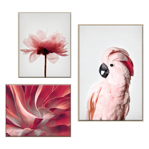 3 Piece Feathered Blush Canvas Wall Art Set