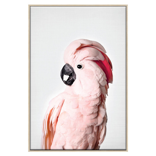 3 Piece Feathered Blush Canvas Wall Art Set