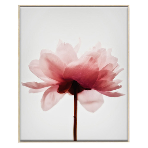 3 Piece Feathered Blush Canvas Wall Art Set