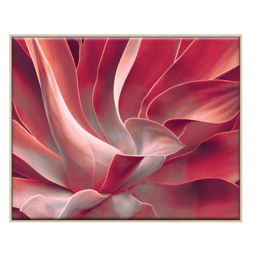 3 Piece Feathered Blush Canvas Wall Art Set