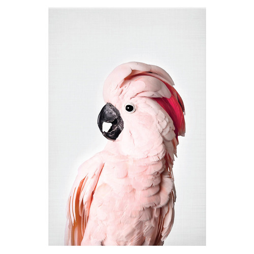 3 Piece Feathered Blush Canvas Wall Art Set