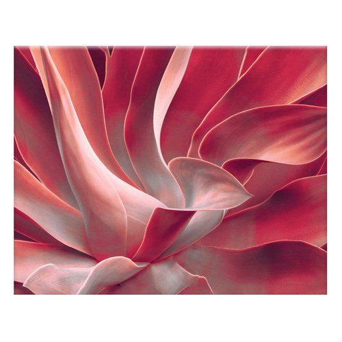 3 Piece Feathered Blush Canvas Wall Art Set