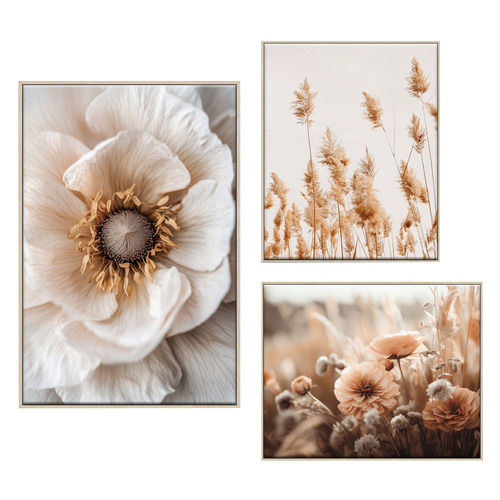 3 Piece Sepia Bloom Canvas Wall Art Set