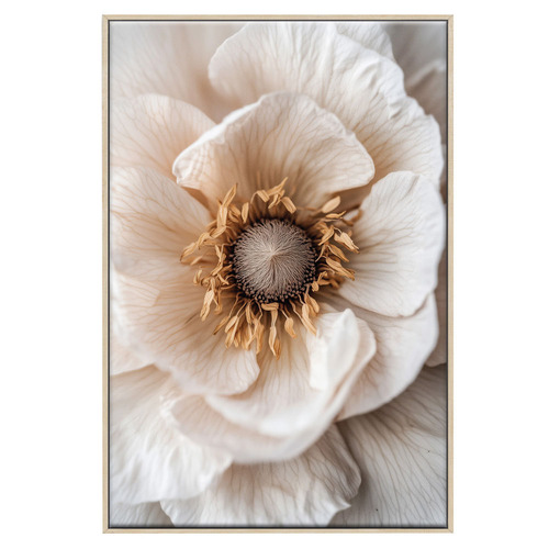 3 Piece Sepia Bloom Canvas Wall Art Set