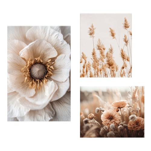 3 Piece Sepia Bloom Canvas Wall Art Set