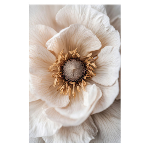 3 Piece Sepia Bloom Canvas Wall Art Set