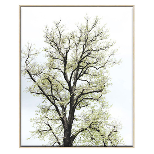 3 Piece Foilage & Feathers Canvas Wall Art Set