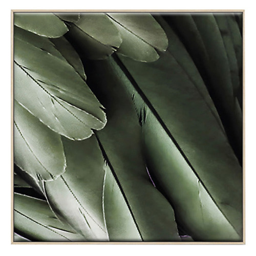 3 Piece Foilage & Feathers Canvas Wall Art Set