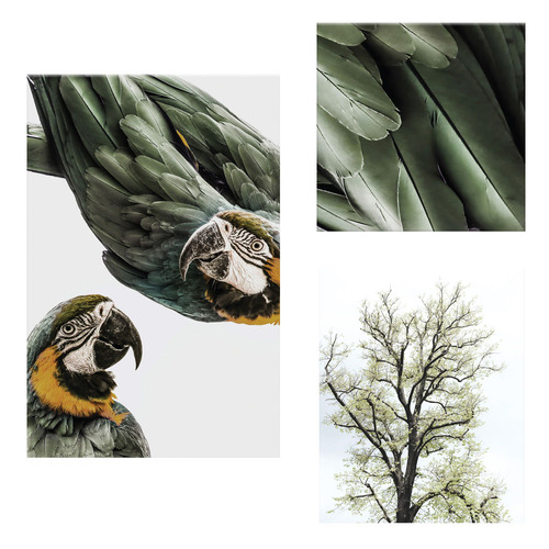 3 Piece Foilage & Feathers Canvas Wall Art Set