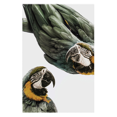 3 Piece Foilage & Feathers Canvas Wall Art Set