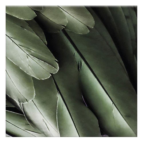 3 Piece Foilage & Feathers Canvas Wall Art Set