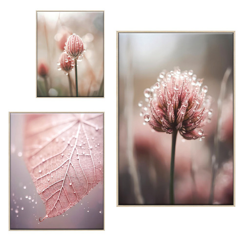 3 Piece Morning Dew Canvas Wall Art Set