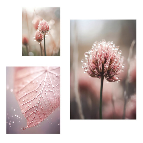 3 Piece Morning Dew Canvas Wall Art Set