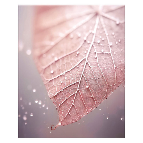 3 Piece Morning Dew Canvas Wall Art Set