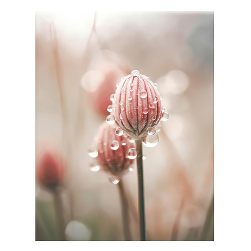 3 Piece Morning Dew Canvas Wall Art Set