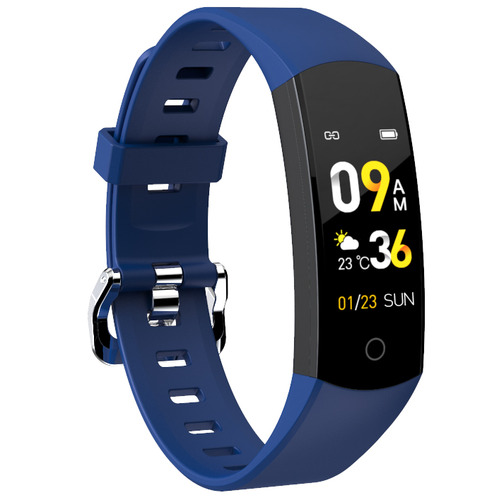 TimeTreasureHome Bluetooth Health Tracker Fitness Band | Temple & Webster