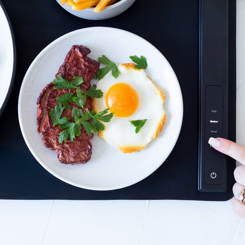 Solyn Portable Warming Mat
