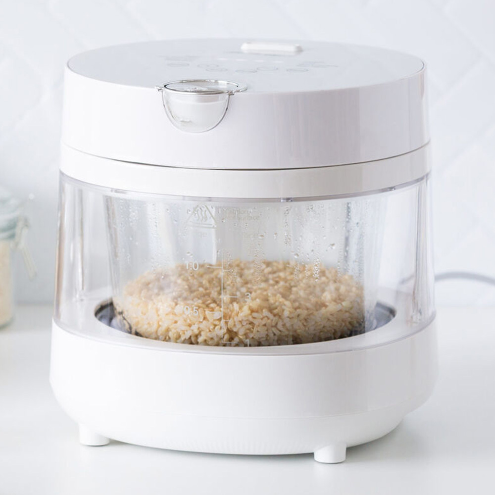 Vigust 3L Glass Electric Rice Cooker