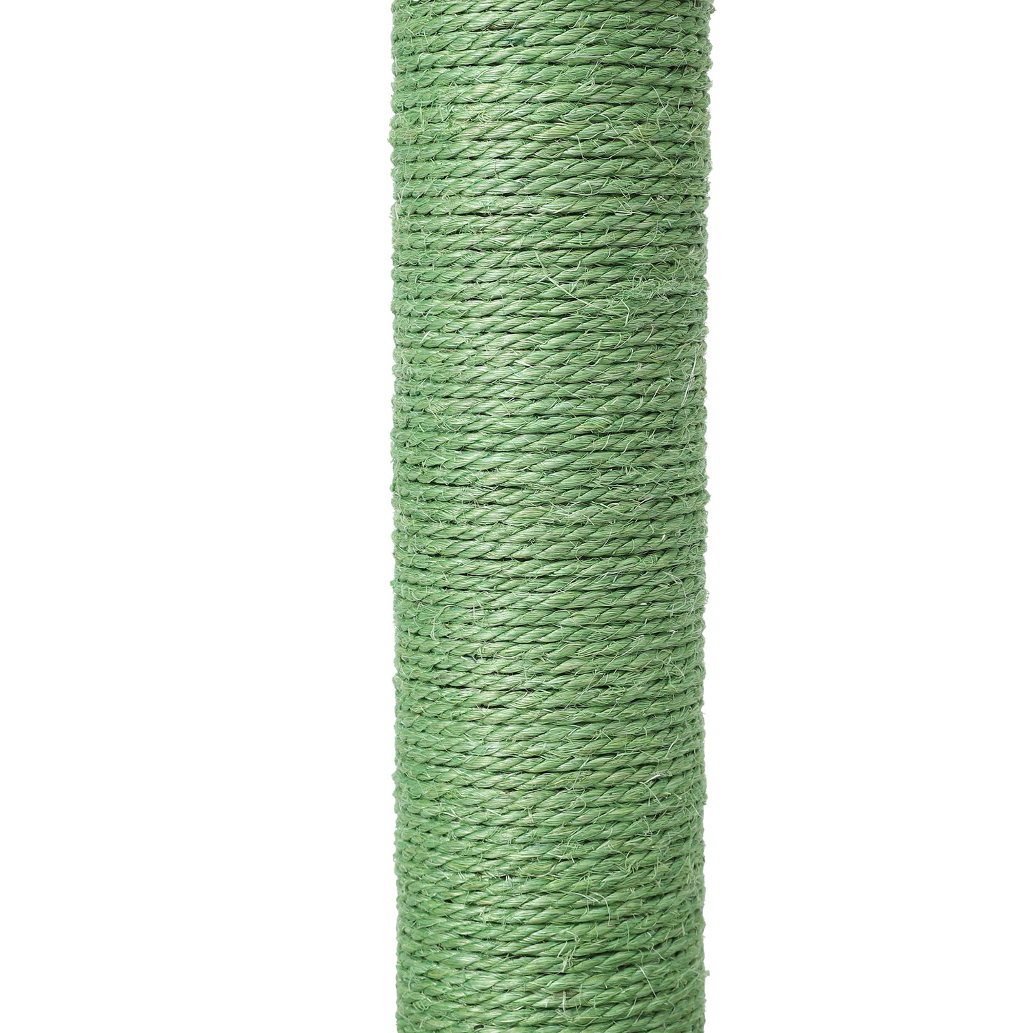 Buddy 67cm Cactus Cat Scratching Tree
