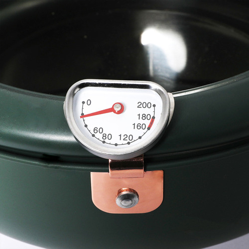Fidel Green Deep Fry Pot with Thermometer
