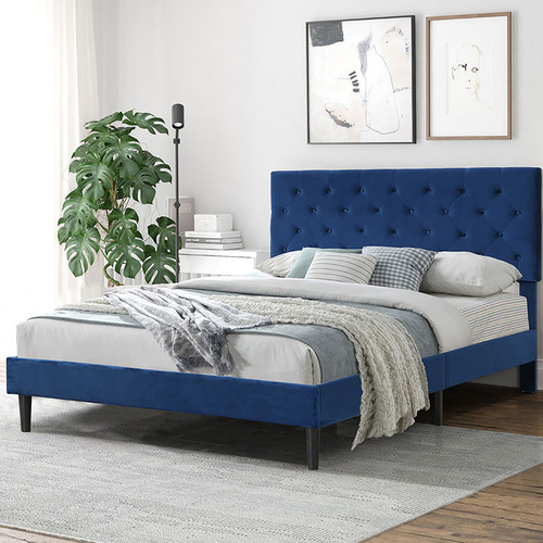 Oakleigh Home Risha Velvet Bed Frame | Temple & Webster