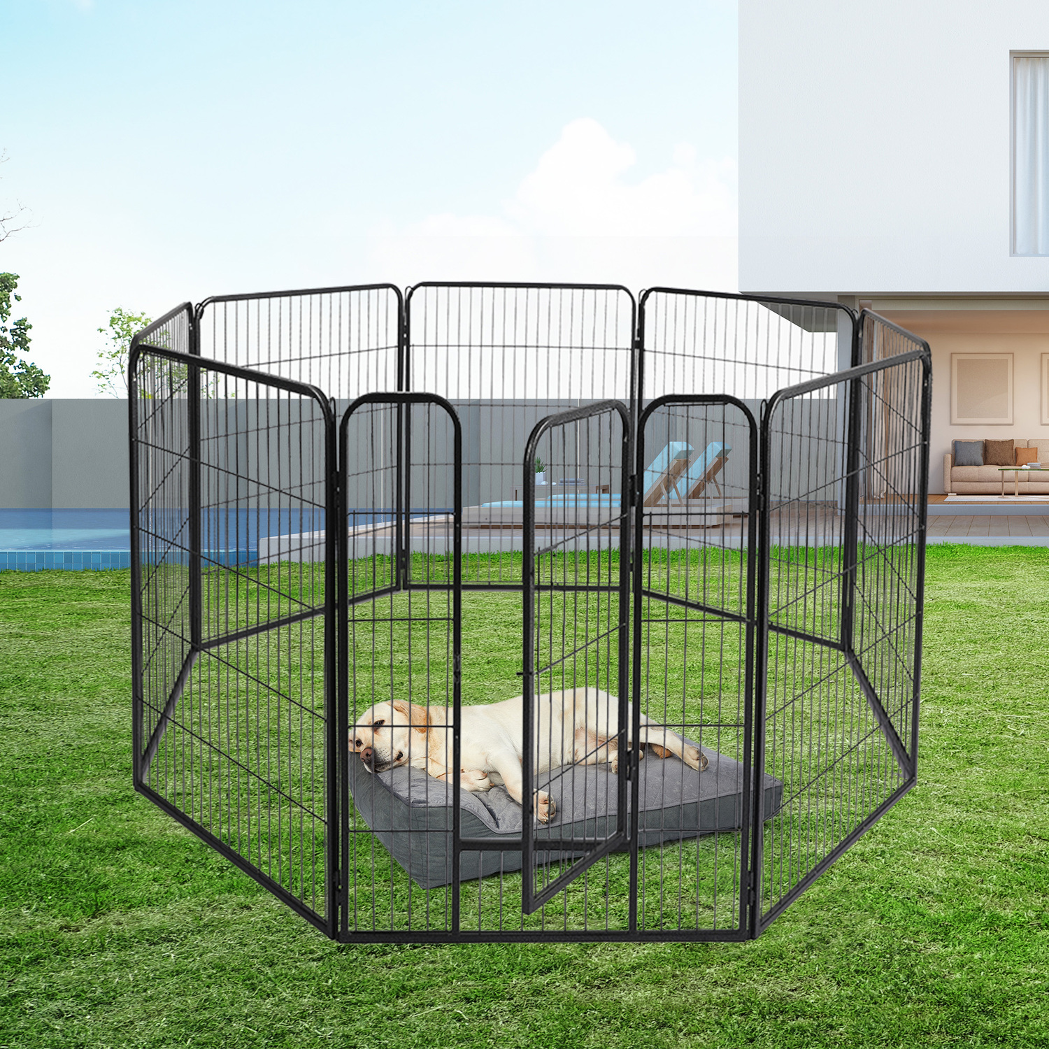 Buddy-Steel-Pet-Playpen