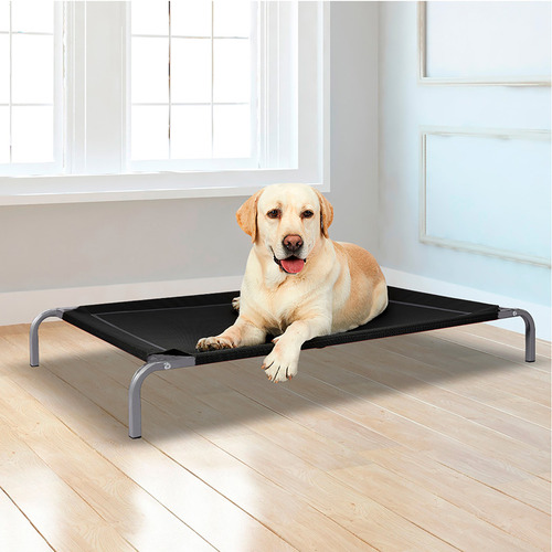 Oakleigh Home Black Lester Trampoline Pet Bed | Temple & Webster