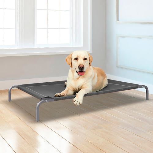 Oakleigh Home Grey Lester Trampoline Pet Bed Temple & ster