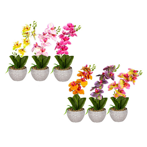 6 Piece Potted Faux Orchid Plant Set Temple & ster
